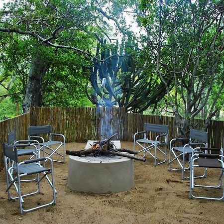 Lion Tree Top Lodge Guernsey Nature Reserve Exterior photo