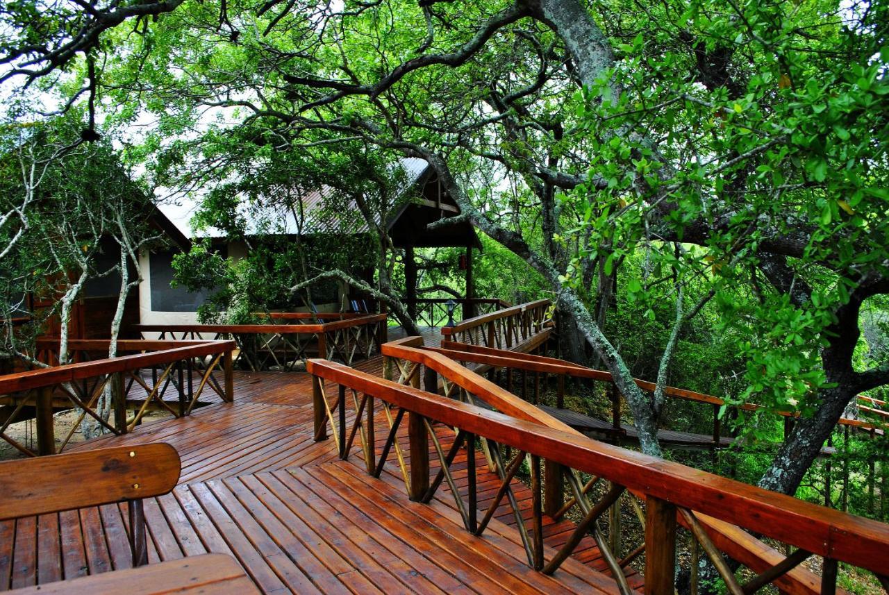 Lion Tree Top Lodge Guernsey Nature Reserve Exterior photo