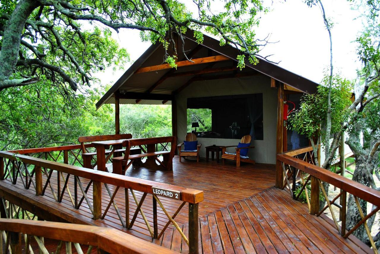 Lion Tree Top Lodge Guernsey Nature Reserve Exterior photo